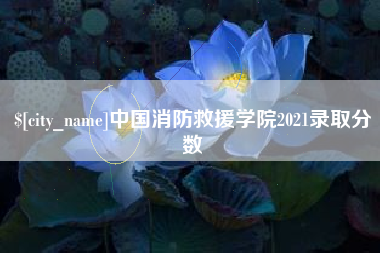 长葛中国消防救援学院2021录取分数