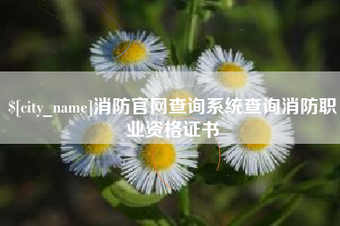 长葛消防官网查询系统查询消防职业资格证书