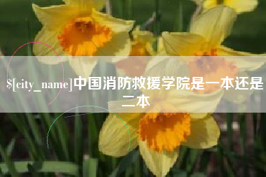 长葛中国消防救援学院是一本还是二本