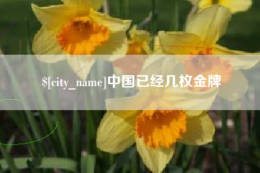 长葛中国已经几枚金牌