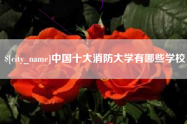 长葛中国十大消防大学有哪些学校