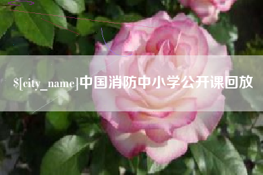 长葛中国消防中小学公开课回放