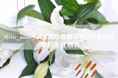长葛中国消防救援学院2020年在山东招生计划表