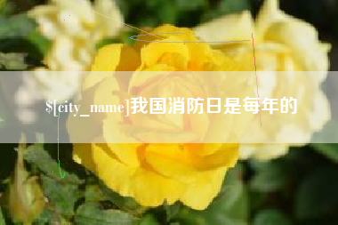 长葛我国消防日是每年的