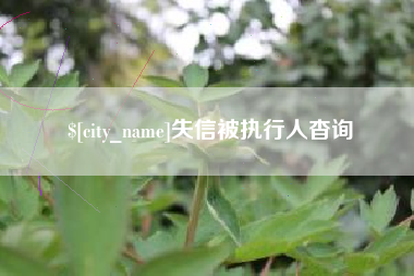 长葛失信被执行人杳询