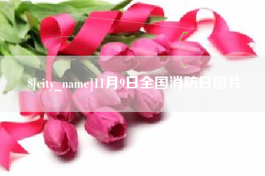 长葛11月9日全国消防日图片