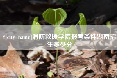 长葛消防救援学院报考条件湖南招生多少分