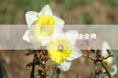 长葛奥运会39块金牌