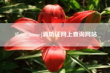 长葛消防证网上查询网站