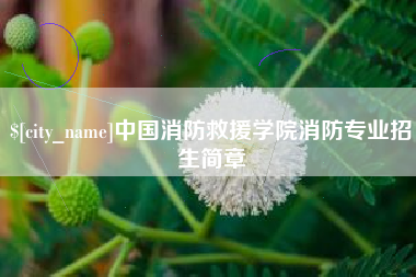 长葛中国消防救援学院消防专业招生简章