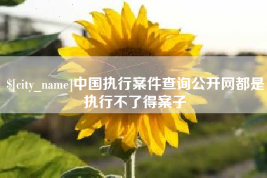 长葛中国执行案件查询公开网都是执行不了得案子