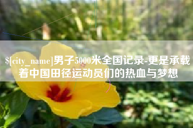 长葛男子5000米全国记录-更是承载着中国田径运动员们的热血与梦想