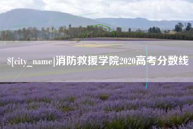 长葛消防救援学院2020高考分数线