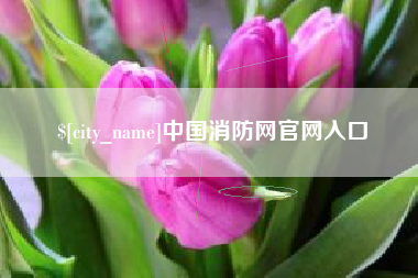 长葛中国消防网官网入口