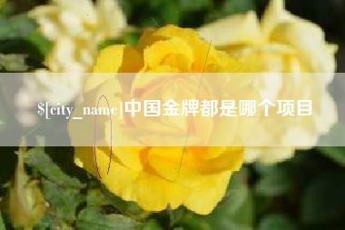 长葛中国金牌都是哪个项目