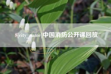 长葛中国消防公开课回放
