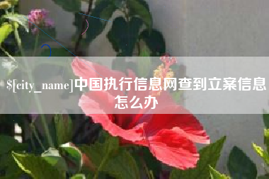 长葛中国执行信息网查到立案信息怎么办