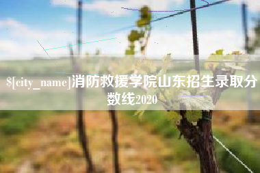 长葛消防救援学院山东招生录取分数线2020