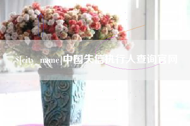 长葛中国失信执行人查询官网