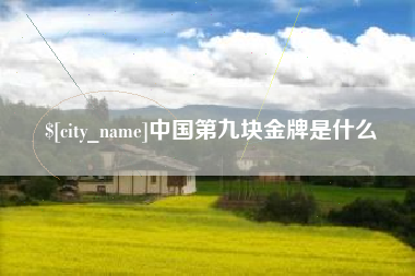 长葛中国第九块金牌是什么