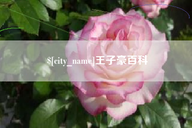 长葛王子豪百科
