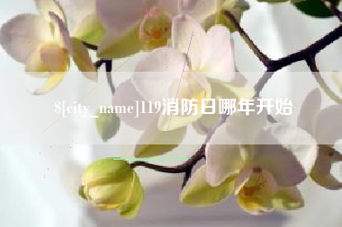 长葛119消防日哪年开始