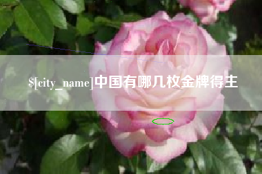 长葛中国有哪几枚金牌得主