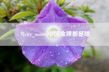 长葛中国金牌都是啥