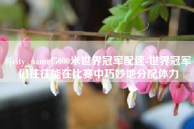 长葛5000米世界冠军配速-世界冠军们往往能在比赛中巧妙地分配体力