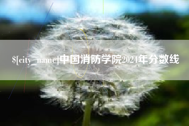长葛中国消防学院2024年分数线