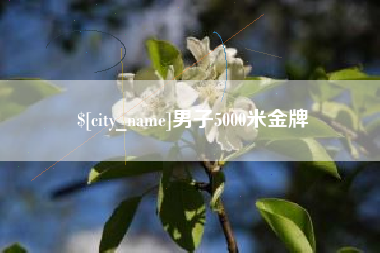 长葛男子5000米金牌