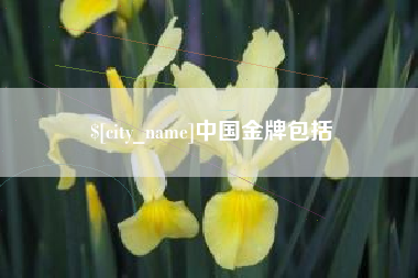长葛中国金牌包括