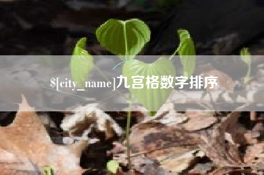 长葛九宫格数字排序