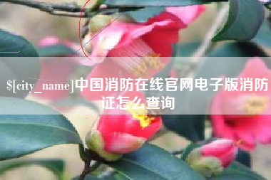 长葛中国消防在线官网电子版消防证怎么查询