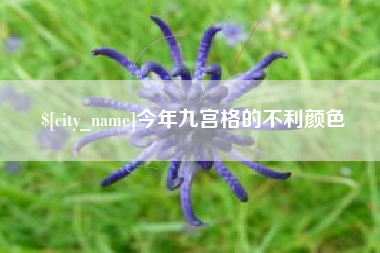 长葛今年九宫格的不利颜色