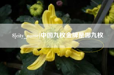 长葛中国九枚金牌是哪九枚