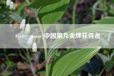 长葛中国第九金牌获得者