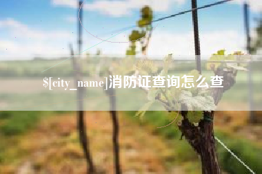 长葛消防证查询怎么查