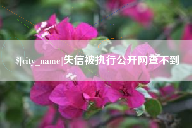 长葛失信被执行公开网查不到