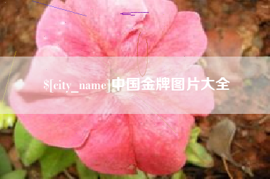 长葛中国金牌图片大全