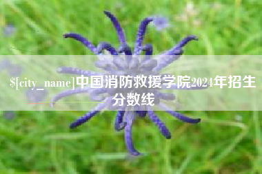 长葛中国消防救援学院2024年招生分数线
