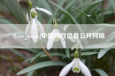 长葛中国执行信息公开网询