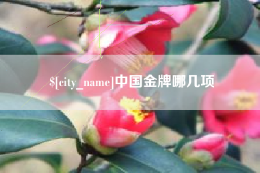 长葛中国金牌哪几项