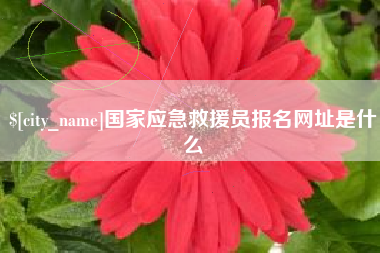 长葛国家应急救援员报名网址是什么