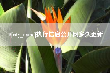 长葛执行信息公开网多久更新