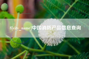 长葛中国消防产品信息查询