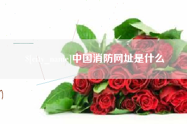 长葛中国消防网址是什么