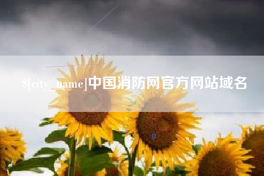 长葛中国消防网官方网站域名