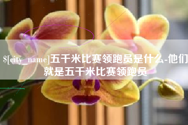 长葛五千米比赛领跑员是什么-他们就是五千米比赛领跑员