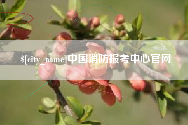 长葛中国消防报考中心官网